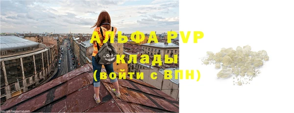 гашик Вяземский