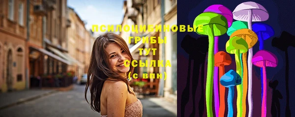 гашик Вяземский