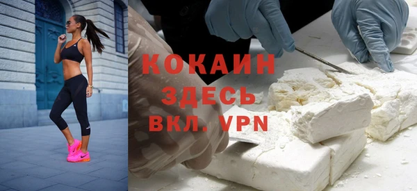 гашик Вяземский