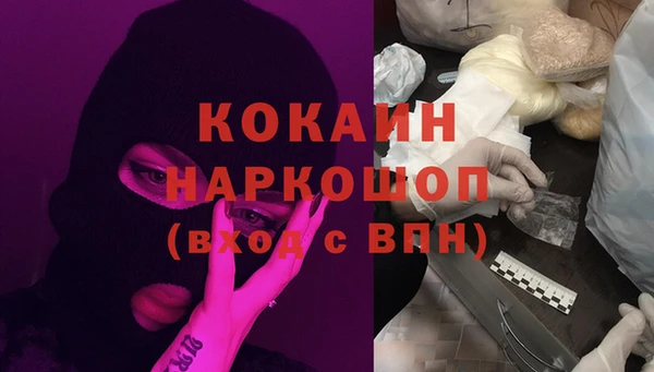 гашик Вяземский