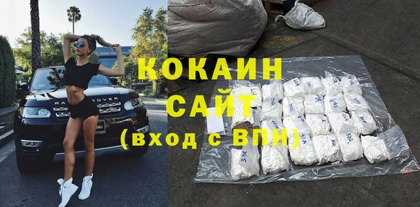гашик Вяземский