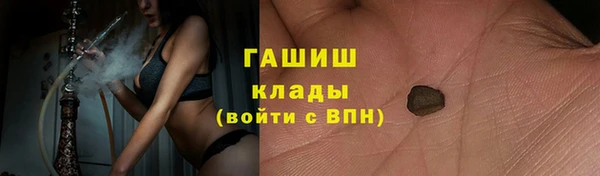гашик Вяземский