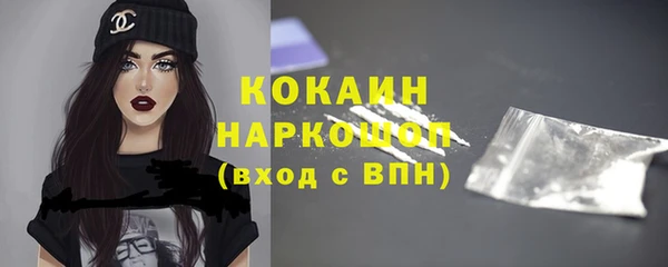 гашик Вяземский
