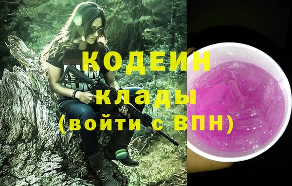 гашик Вяземский