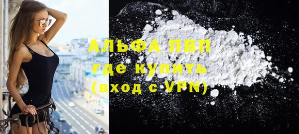 гашик Вяземский