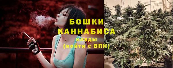 гашик Вяземский