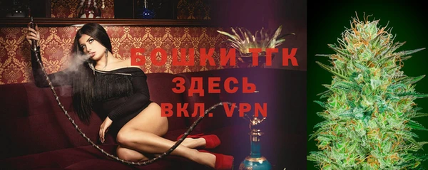 гашик Вяземский