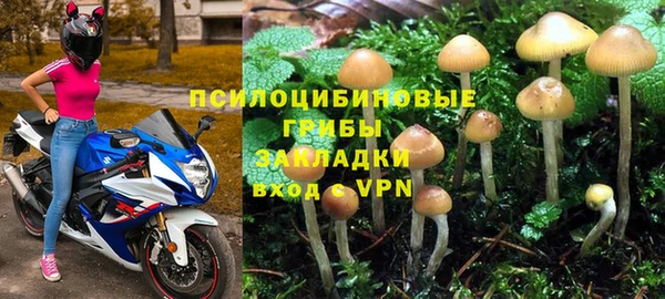 дурь Волоколамск