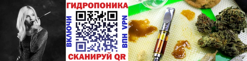 Канабис семена  Тогучин 